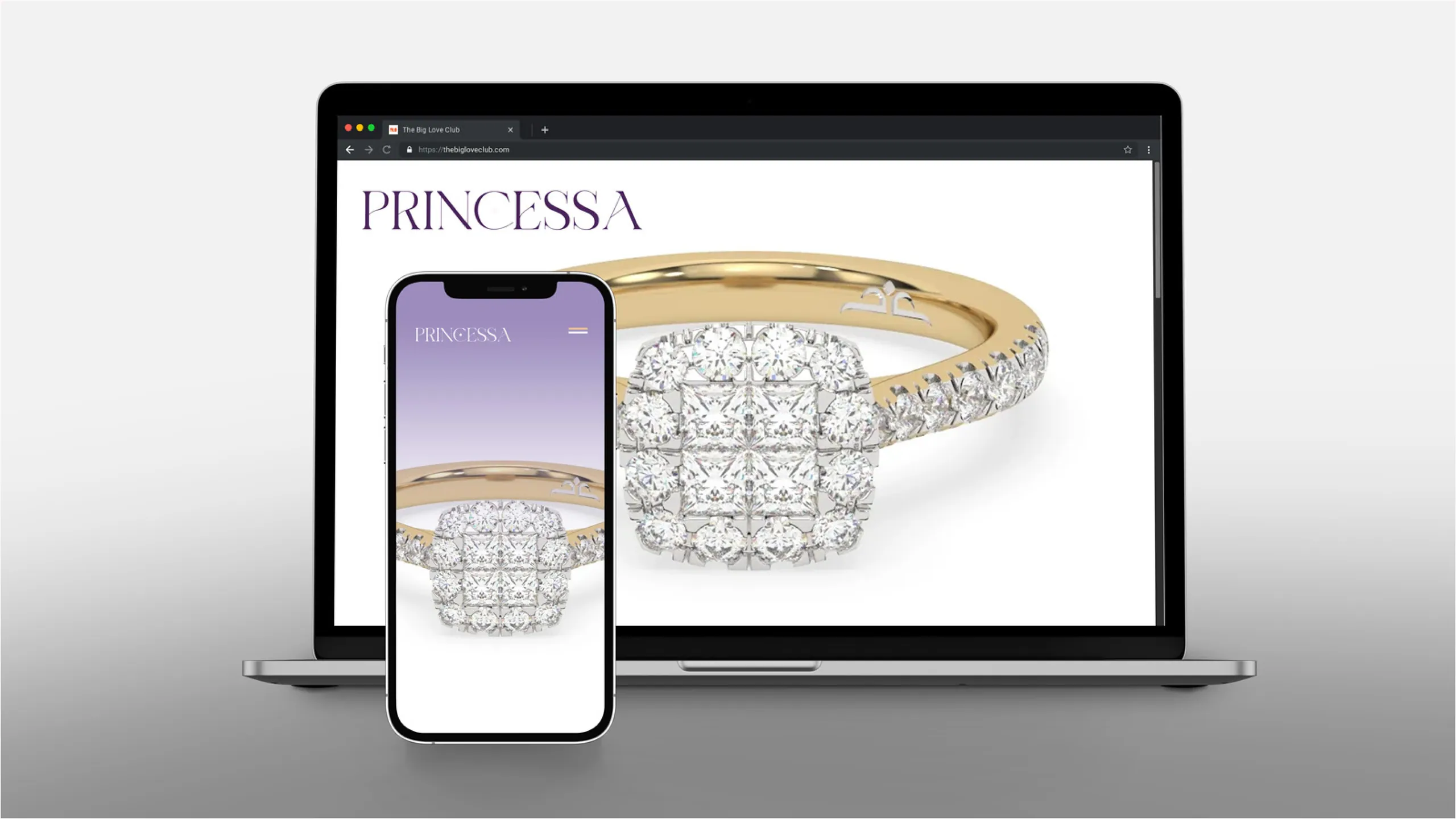 Princessa brand identity 5